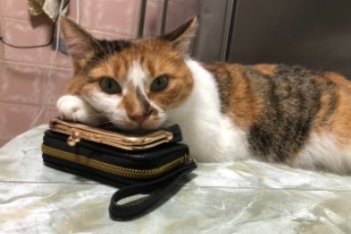 Евлампия Из архива Е. Воиновой