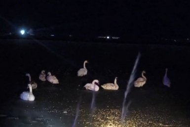 Кадр из видео МЧС Крыма