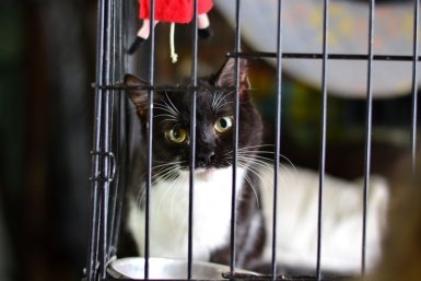 Тематическое фото Из архива Е. Воиновой