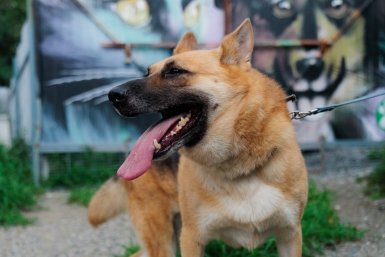 Тематическое фото Евгений Кулешов, ИА PrimaMedia.ru