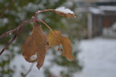 Тематическое фото Евгений Овдеенко, ИА OmskMedia
