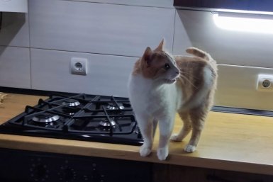 Тематическое фото ИА SevastopolMedia