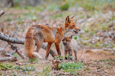 Тематическое фото Мария Смитюк, ИА PrimaMedia