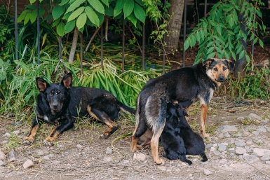 Тематическое фото Мария Смитюк, ИА PrimaMedia