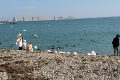 Кадр из видео МВД Крыма