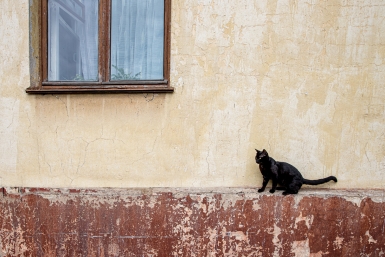 Тематическое фото Мария Смитюк, ИА PrimaMedia