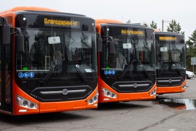 Тематическое фото Юлия Матреницкая, ИА AmurMedia.ru