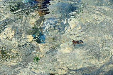 Тематическое фото Юрий Гуршал, ИА SakhalinMedia