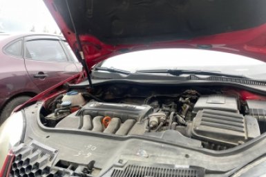 Одна ошибка при доливе антифриза - и мотору конец: механик предупредил водителей ИА SevastopolMedia