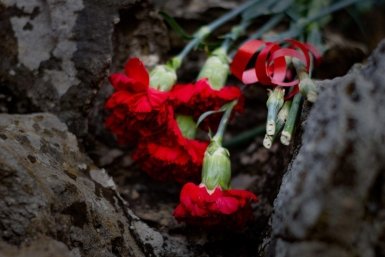 Тематическое фото ИА Stavropol.Media