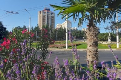 Тематическое фото Соцсети Г. Огнёвой