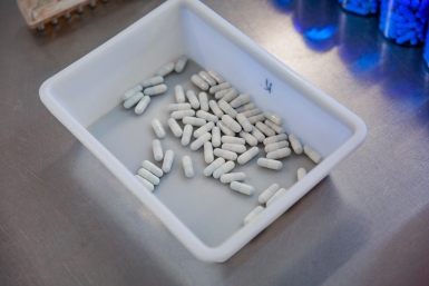 Тематическое фото Илья Аверьянов, ИА PrimaMedia