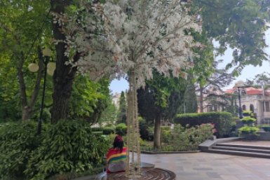 Тематическое фото ИА SevastopolMedia