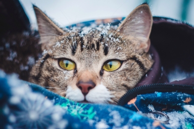 Об усилении ветра во второй половине недели предупредили в Крыму