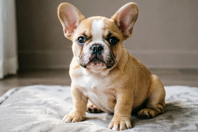 Тематическое фото ИИ Qwen (18+)