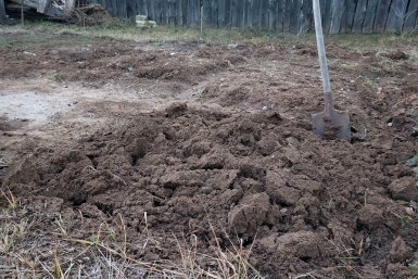 Перестала перекапывать огород каждую весну - и урожай вырос в 2 раза при минимуме физических усилий Автора