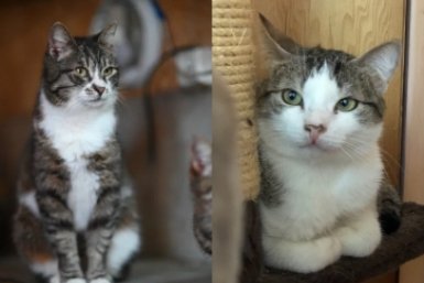 Коллаж из фото Из архива Е. Воиновой