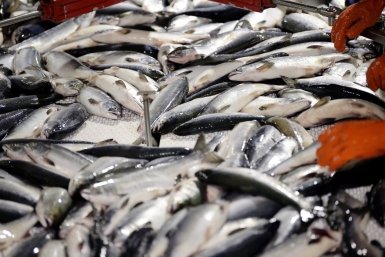 Тематическое фото ИА PrimaMedia