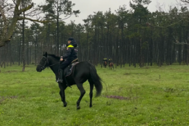 Тематическое фото Правительство Севастополя