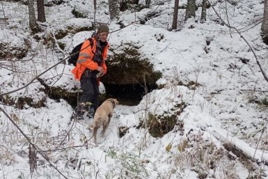 Тайга, где пропали Усольцевы &quotЛиза Алерт&quot