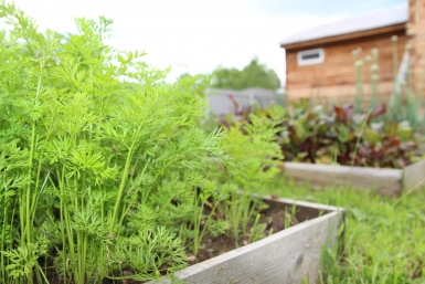  ИА EAOMedia, Письменова Ксения