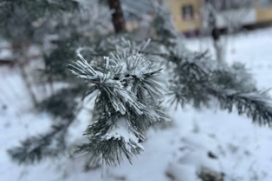 В горах Крыма выпал мокрый снег, непогоду обещают и на 8 апреля