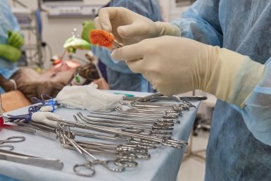 Тематическое фото Дмитрий Осипчук, ИА PrimaMedia.ru