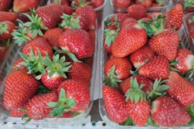 Тематическое фото ИА Stavropol.Media