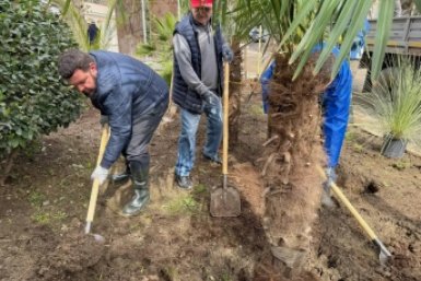 В Ялте создают розарий и не только Соцсети Сергея Олефиренко