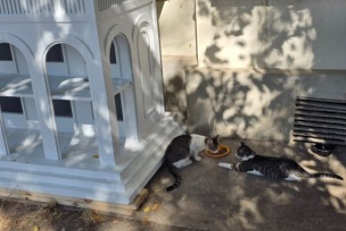 Сколько стоит аренда квартиры на майские праздники в Крыму и Севастополе