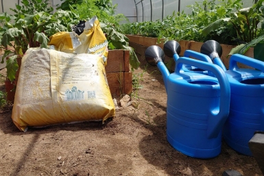 Срочное предупреждение: что нужно немедленно убрать с дачного участка, чтобы не платить 20 000