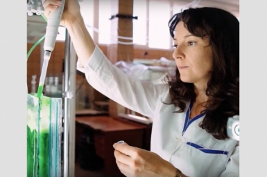 В Севастополе разработают технологию промышленного производства хлореллы