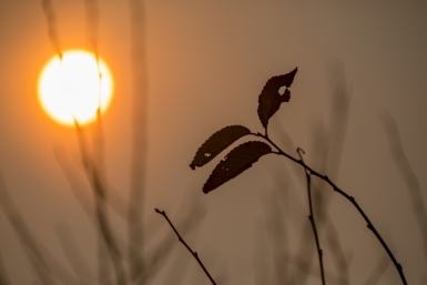 Ученые ждут удар супер-Эль-Ниньо в 2026 году — что это означает