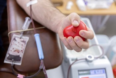 В Крыму почти 6 тысяч человек носят звание "Почетного донора России"