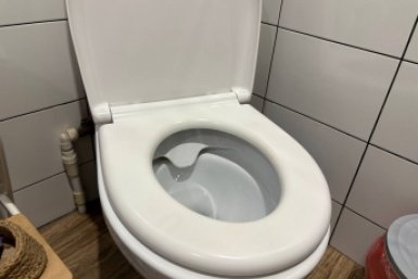 2 ложки в 300 мл воды - сияет даже под ободком унитаза: не стыдно перед гостями