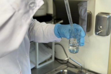 Более 50 тысяч вакцинаций: в Севастополе подвели итоги работы Госветслужбы