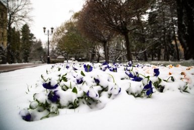 Замерзнет ли России из-за замедления Гольфстрима