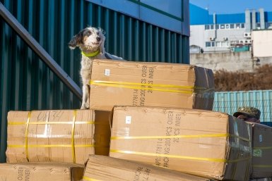 В почтовое отделение Симферополя прислали прекурсоры для наркотиков