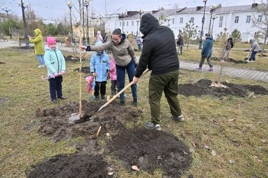 Аллея из 60 саженцев появилась в мкр Горького Пресс-служба мэрии Хабаровска