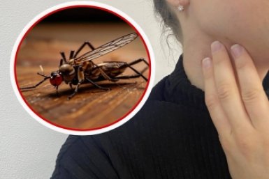 Положите это в карман - забудьте о комарах: не подлетят даже на метр в лесу