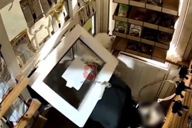 В Севастополе пьяный рецидивист залез через окно в пивной ларек и ограбил его