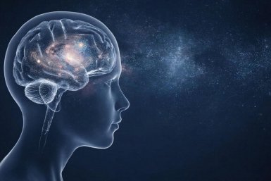 Тест для тех, чей ум острее бритвы: ответьте на 5 вопросов, на которых сыплются многие