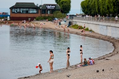 Владельцев собак предупредили о запрете на организованных пляжах