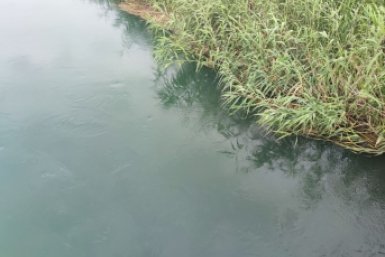 На Ставрополье в пойме реки Тамлык спасатели обнаружили в воде автомобиль ИА Stavropol.Media