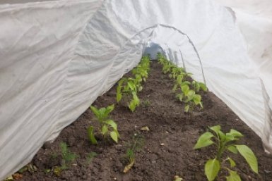 Тематическое фото ChitaMedia