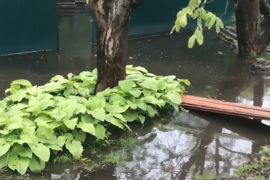 Затопленные затяжными дождями улицы, дворы и дома показал глава Невинномысска