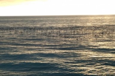 Дожди посетят курорты Крыма в последние весенние выходные