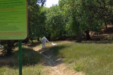 В Севастополе 1 июня обработают Ушакову балку от клещей
