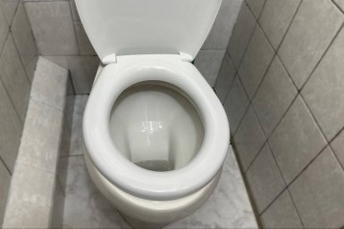 1 колпачок в унитаз на ночь - и наутро он белее снега: ни ржавчины, ни мочевого камня, ни неприятного запаха