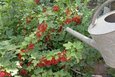 Тематическое фото ИА Stavropol.Media